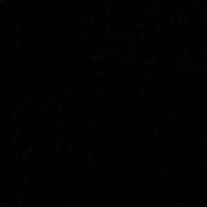 Meet your Posher, Adrian